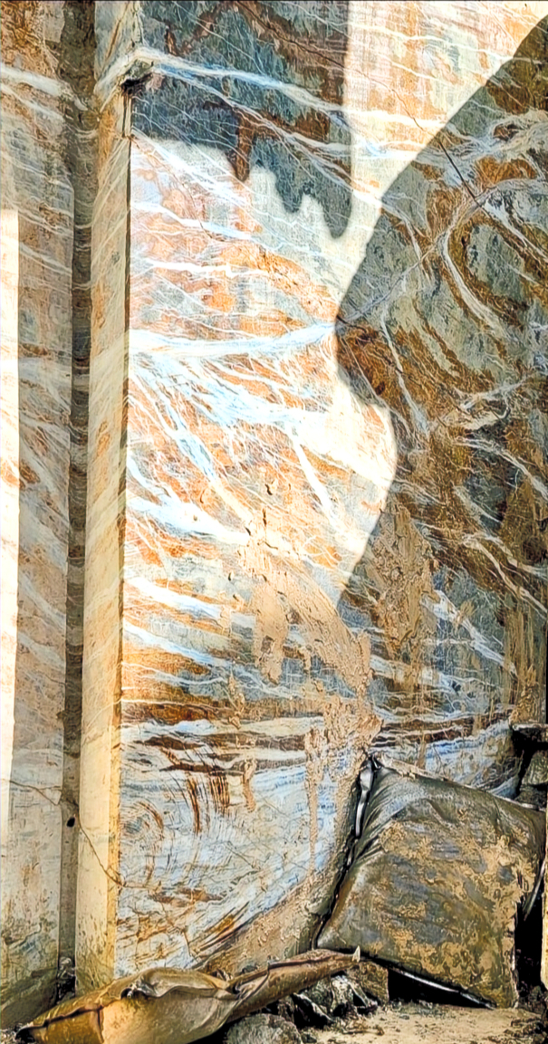 Active Extraction Face