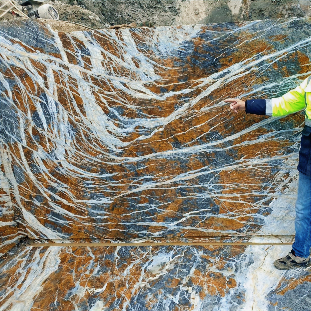 In-Situ Vein Exposure